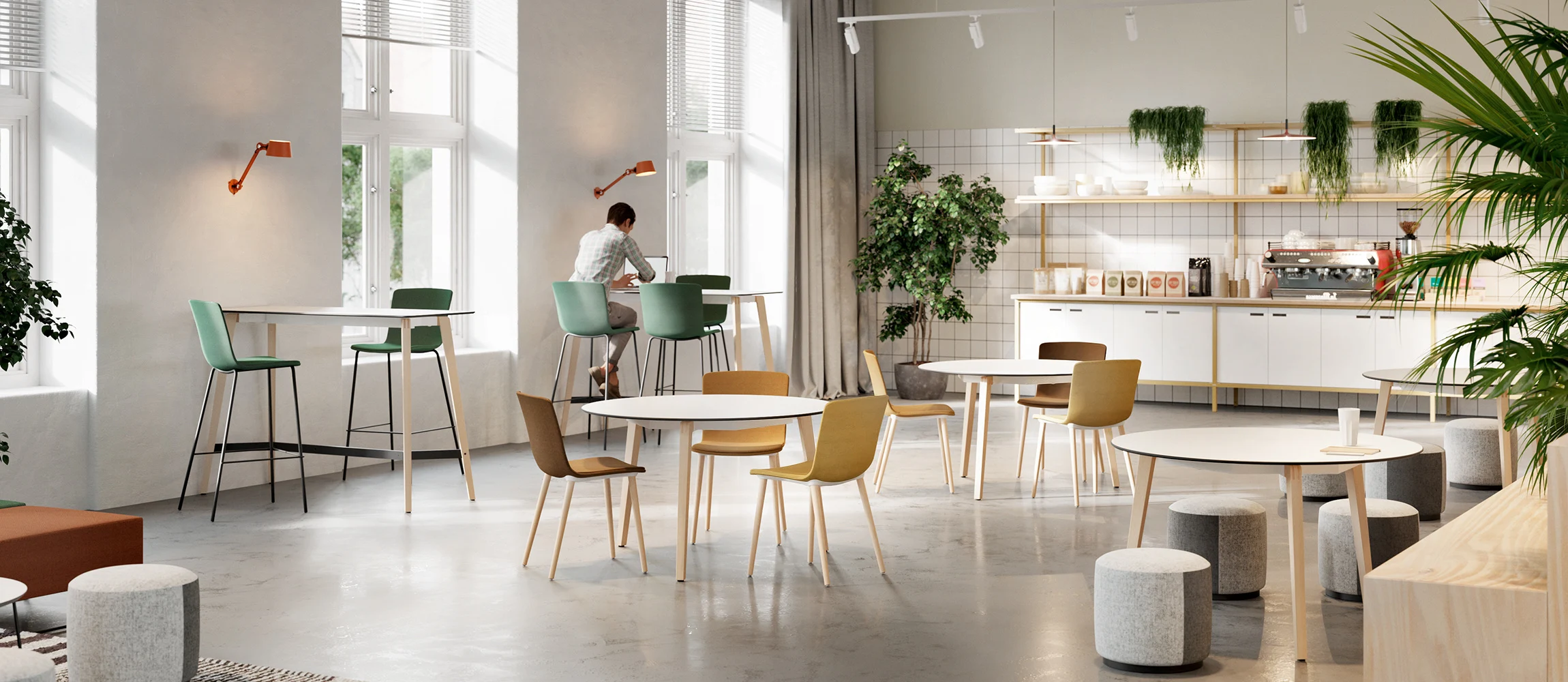 Canteen Chairs