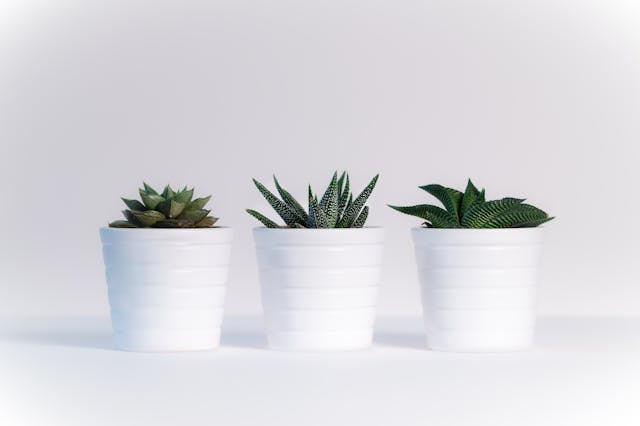 Office Accessories